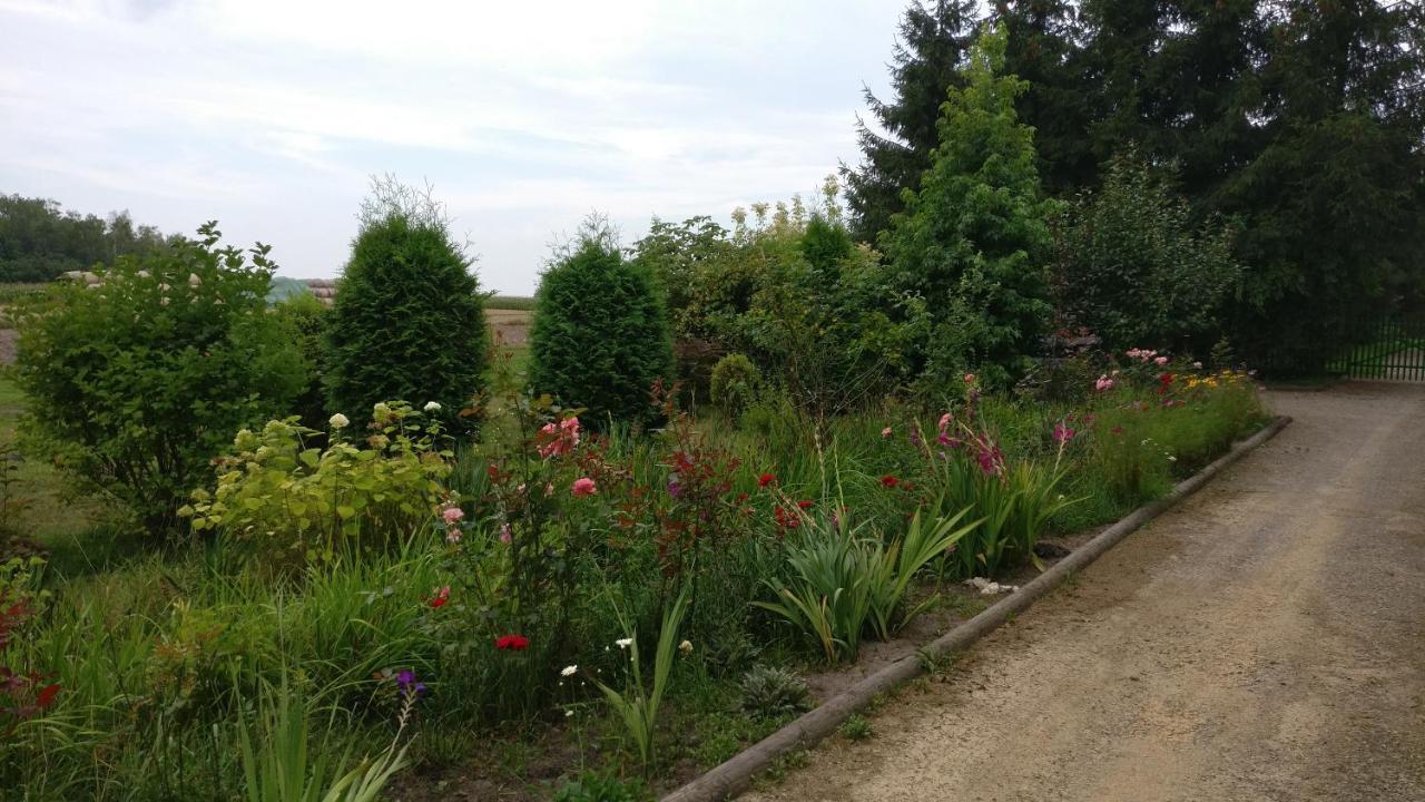 Agroturystyka Pod Czarna Sosna Bialy Lug ภายนอก รูปภาพ